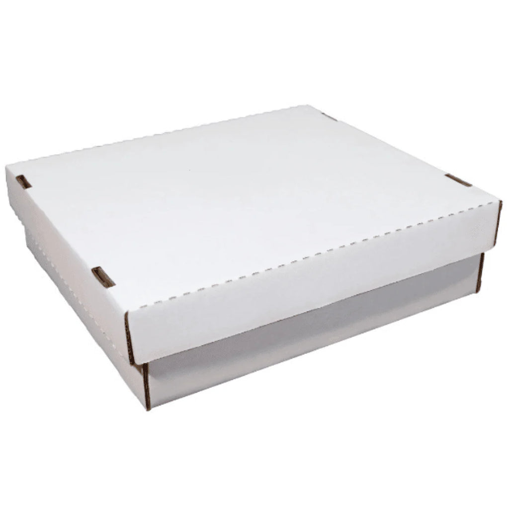 20 Pack Trading Card Storage Box T342690