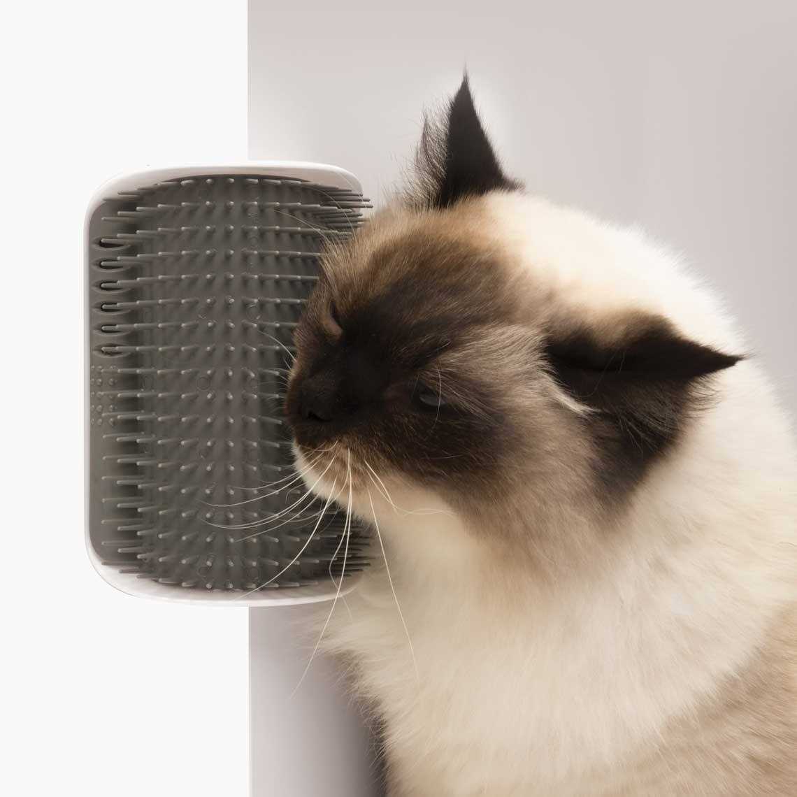 Self Groomer B24962