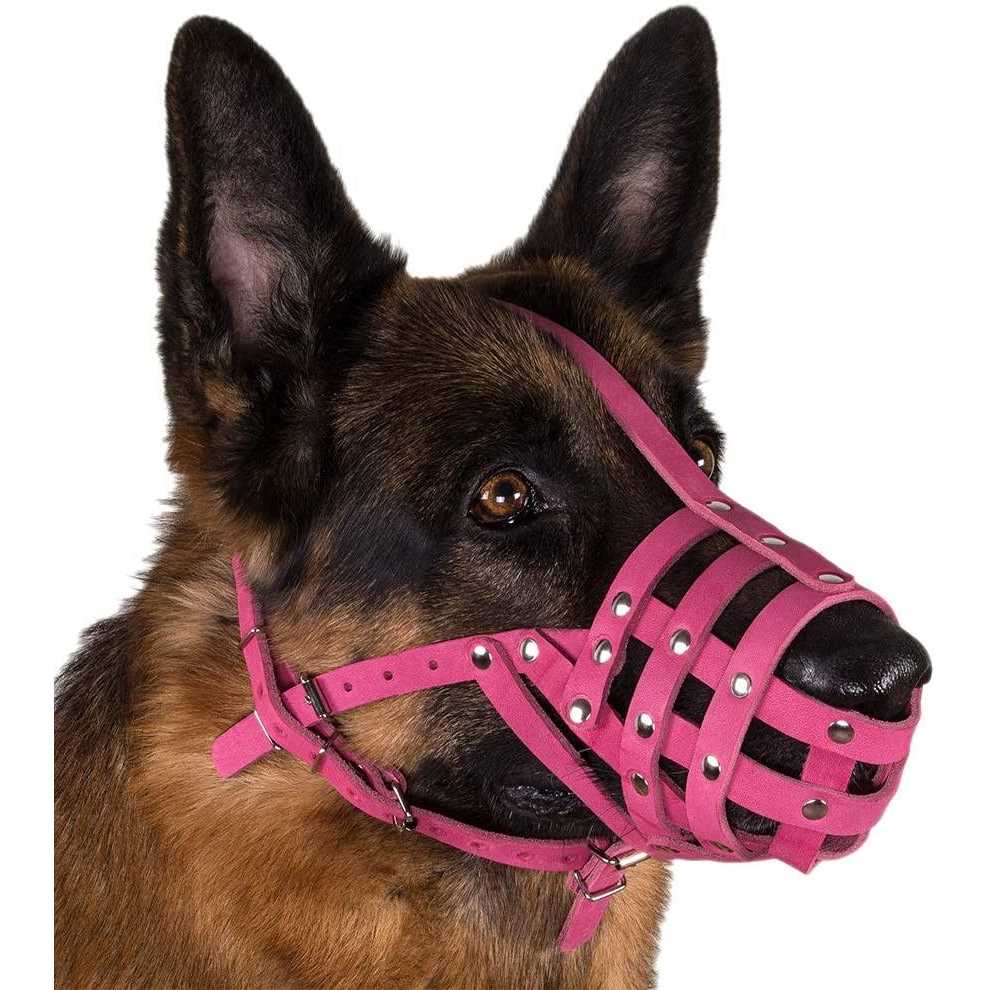 Leather Dog Muzzle S534792