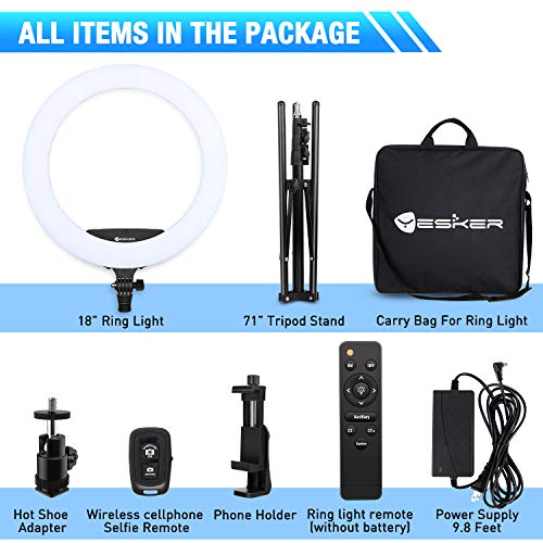 18 Inch RGB Ring Light with Tripod Stand and Phone Holder B235