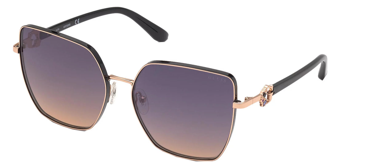 Sunglasses F561