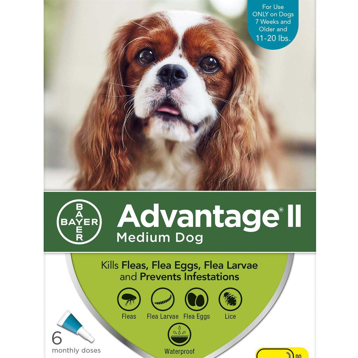 Advantage II for Dogs A39378