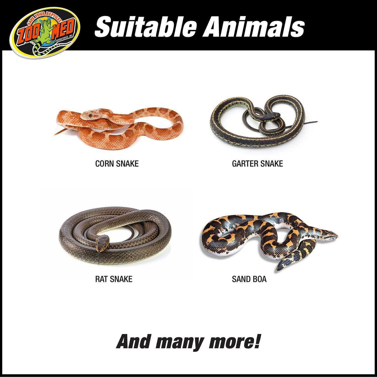 Snake Kit D7377