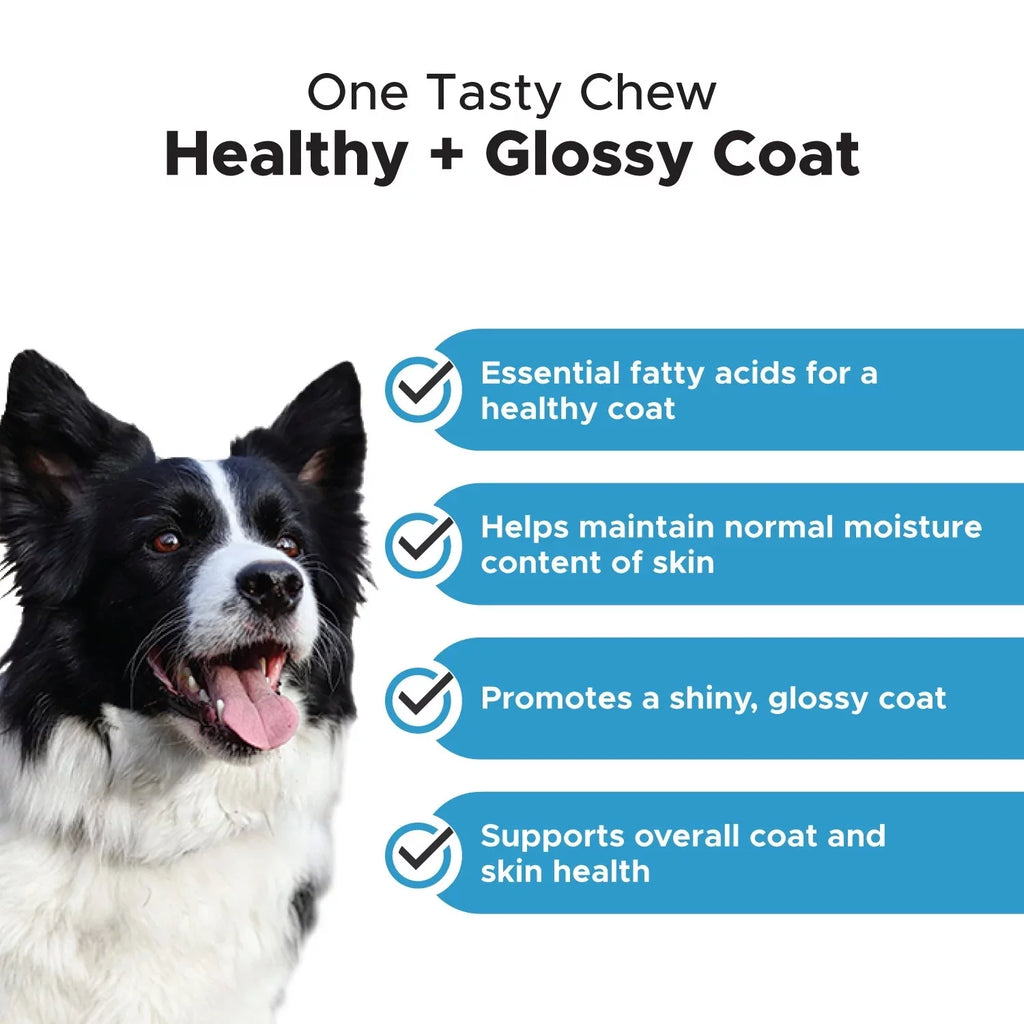 Salmon Fish Oil Soft Chews, 90 Ct Y86810