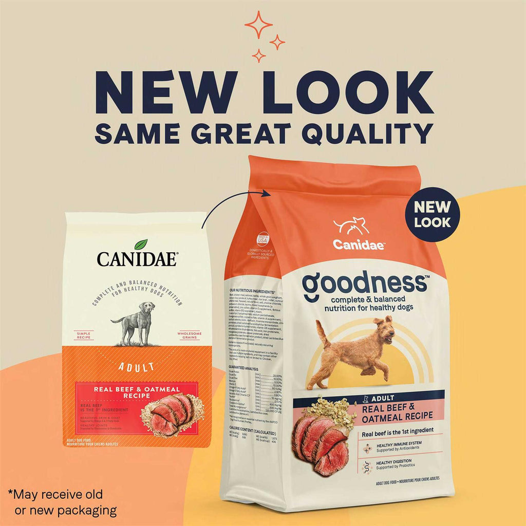 Adult Dry Dog Food Beef and Oatmeal L87758