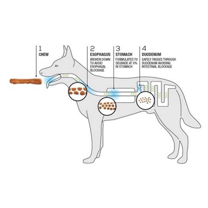 Dog Chews + Collagen Recipe V6195