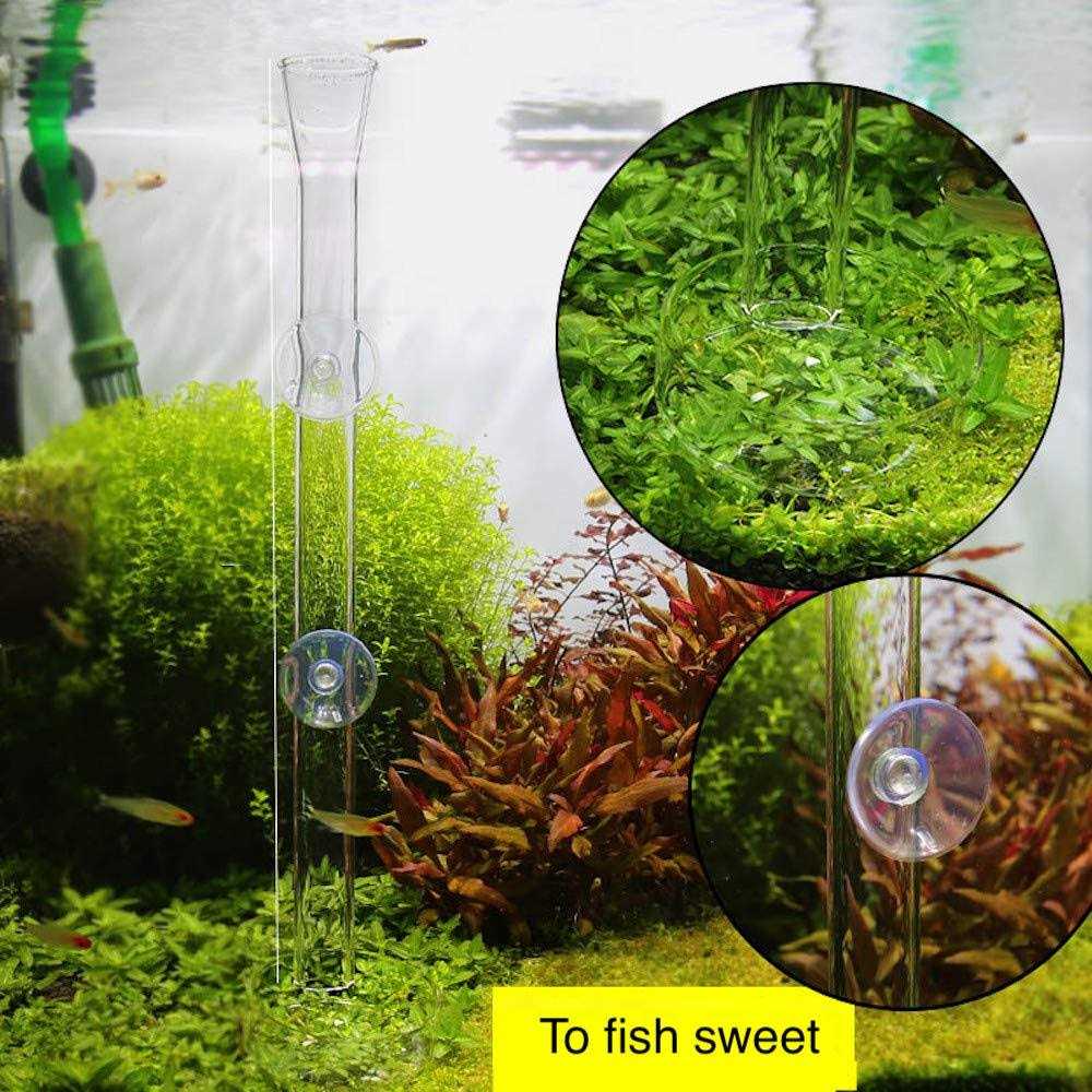 Aquarium Shrimp Feeding Tube and Dish Clear Crystal Glass I19997