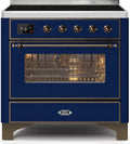 Blue Induction Range with Electric Oven Y19273