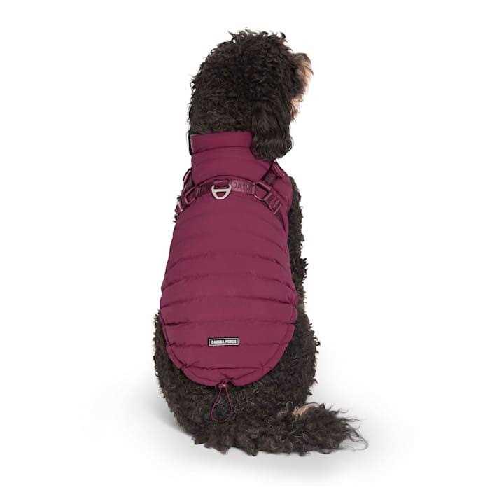 Black Puffer Harness S838337