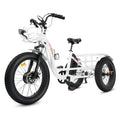 Electric Tricycle Fat Tire 750W 48V White K1578