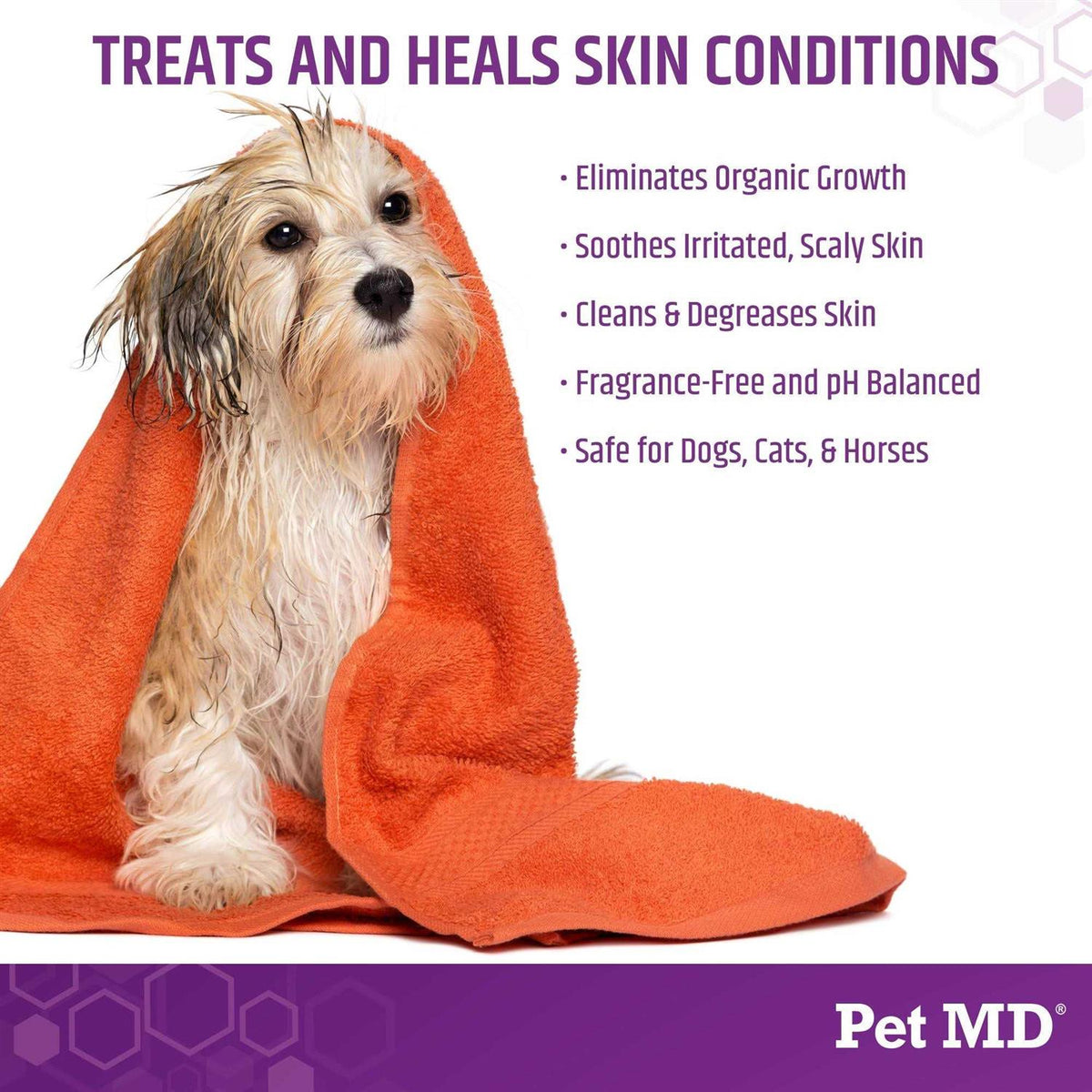Medicated Shampoo for Dogs P984952