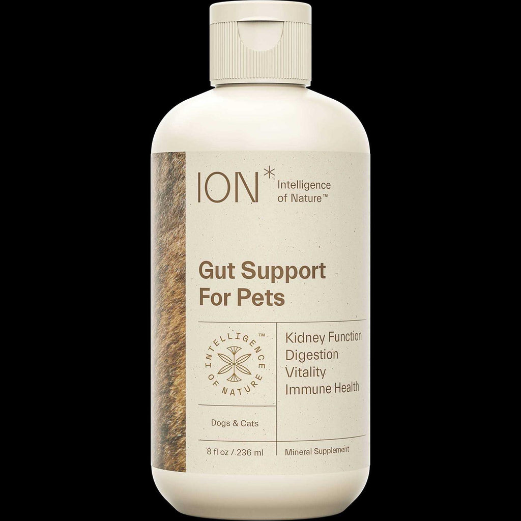 Gut Support For Pets L97113