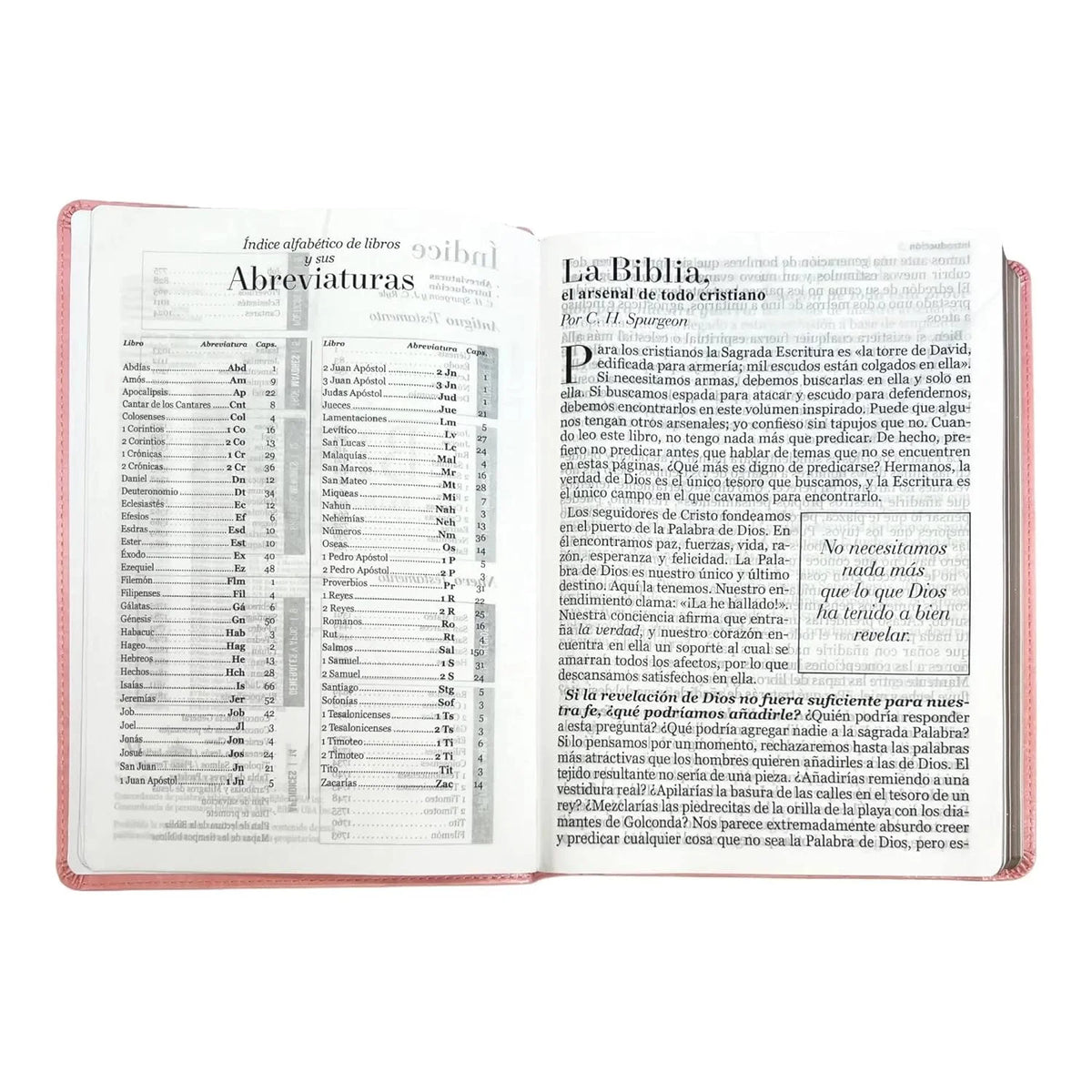 Simile Leather Imitation Leather Bible T825