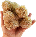 Large Raw Selenite Desert Rose Crystal Cluster O92748