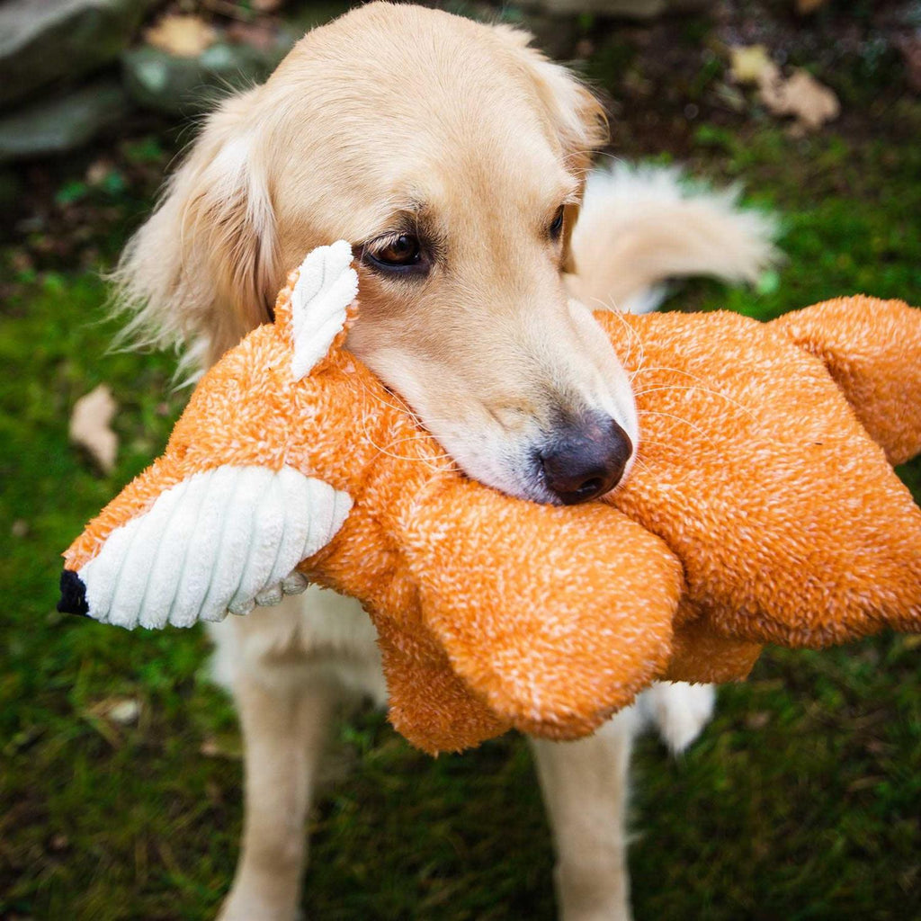 Plush Dog Toy W6060