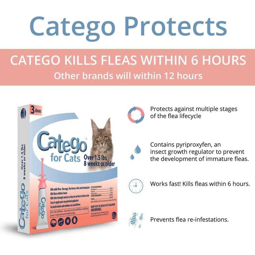 Flea & Tick Treatment for Cats U365120