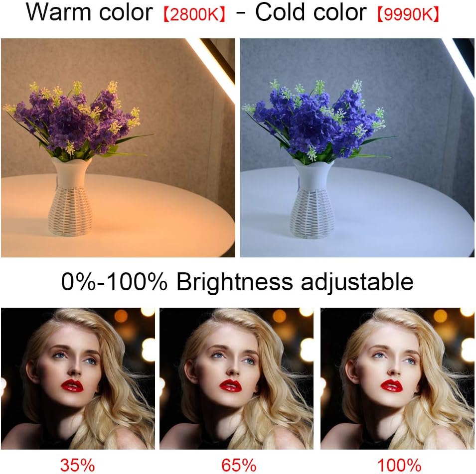 LED Tube Light with Carry Bag K801