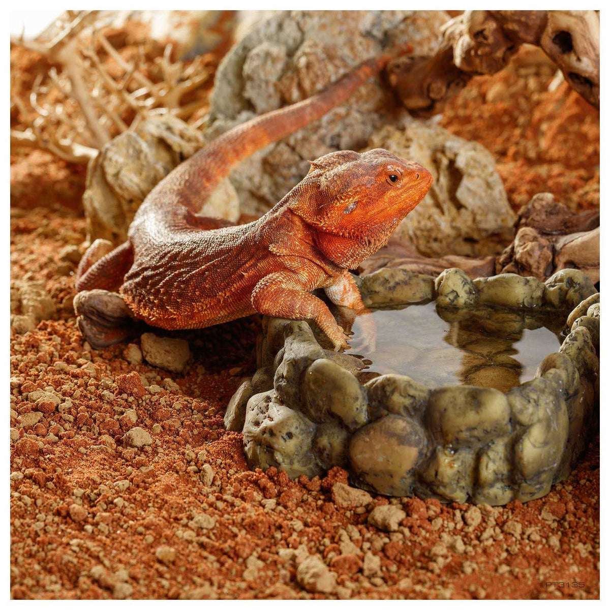 Stone Desert Substrate E922015