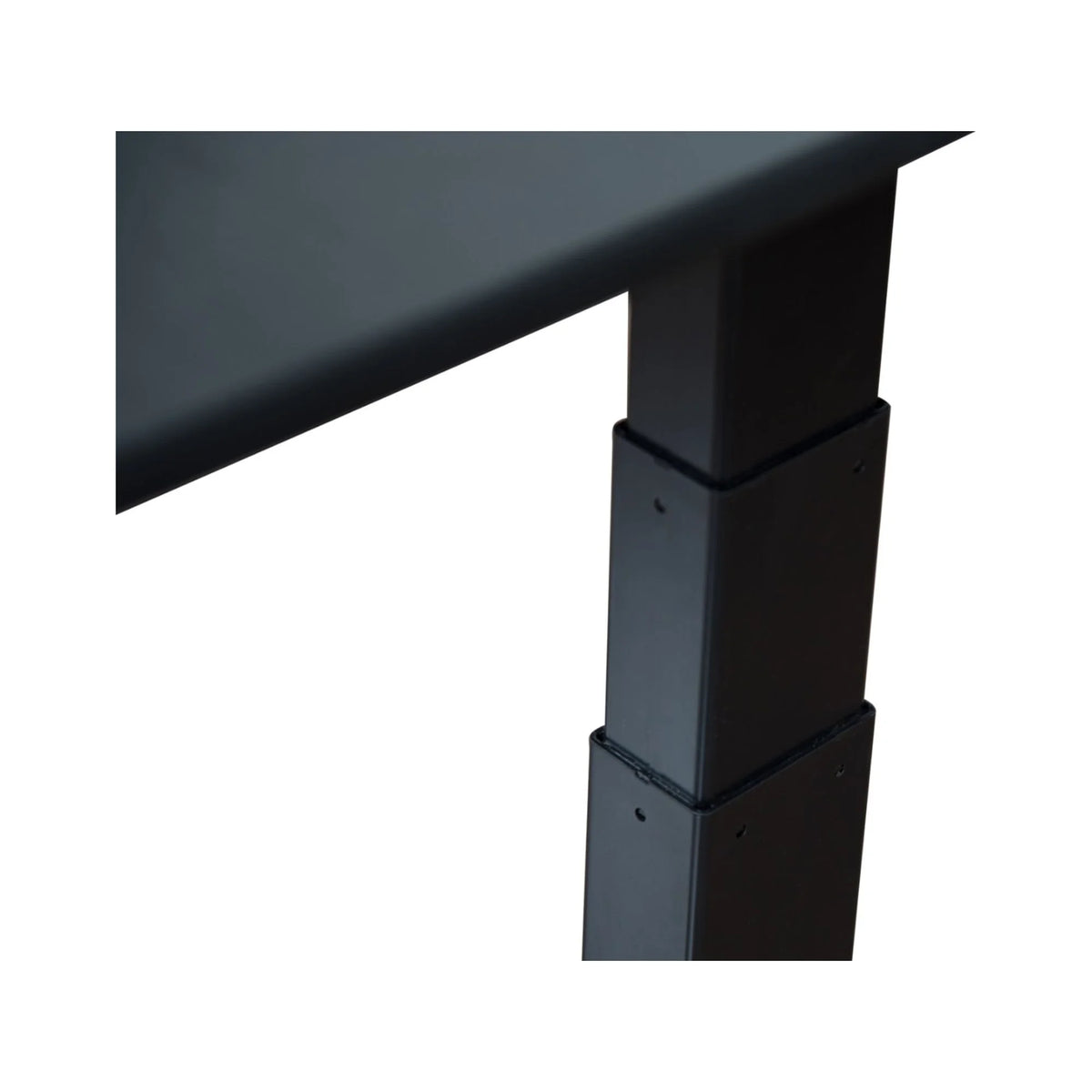 60" Dual-Motor Electric Stand Up Desk D8131