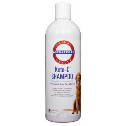 Shampoo H5341