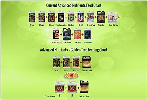 Plant Food for Plants and Trees B8671