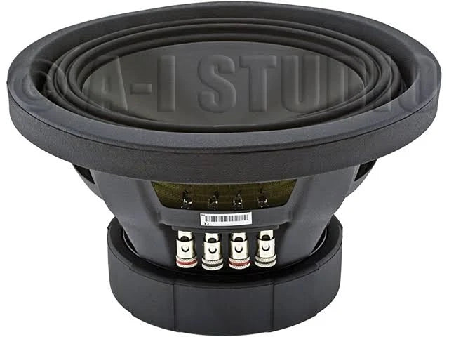 10 Inch 4 Ohm Car Subwoofer A3042