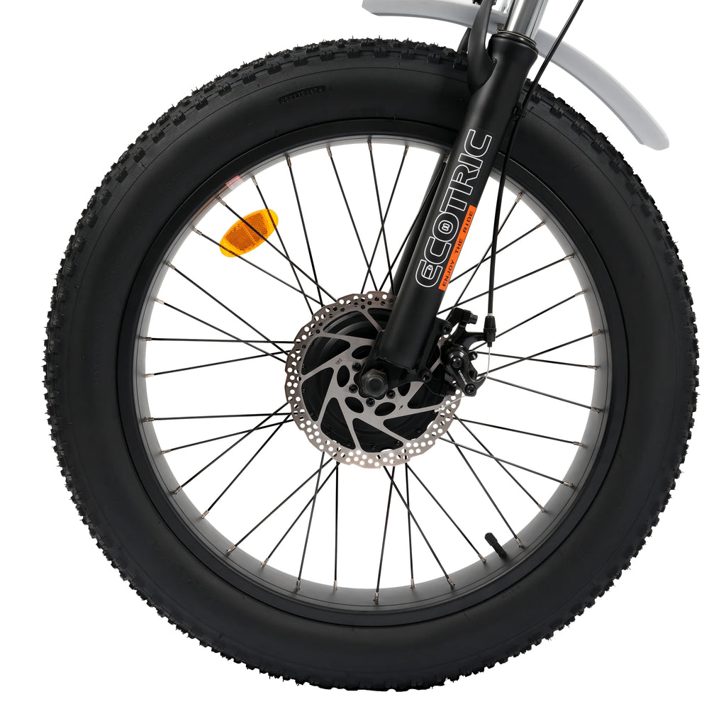 Electric Tricycle Fat Tire 750W 48V White K1578