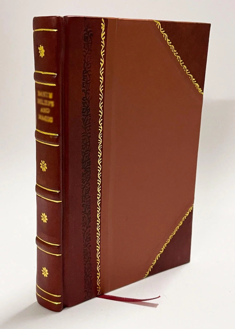 Lithotritie Leather Bound L174