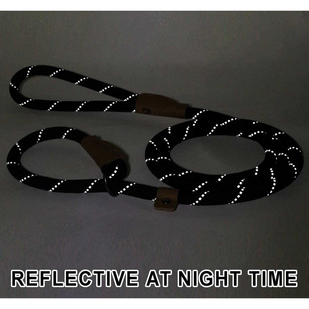 Reflective Mountain Climbing Rope Slip Lead Dog Leash D868279