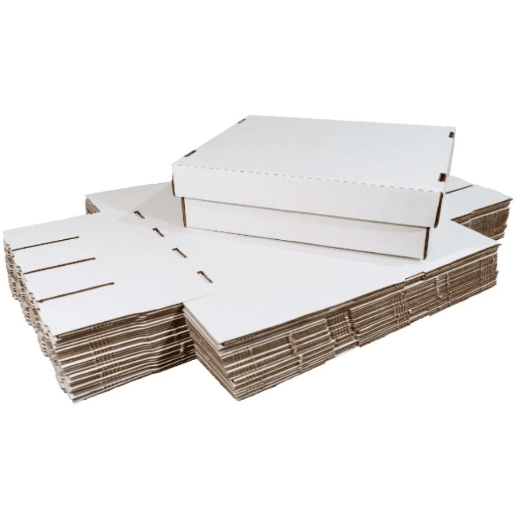 20 Pack Trading Card Storage Box T342690