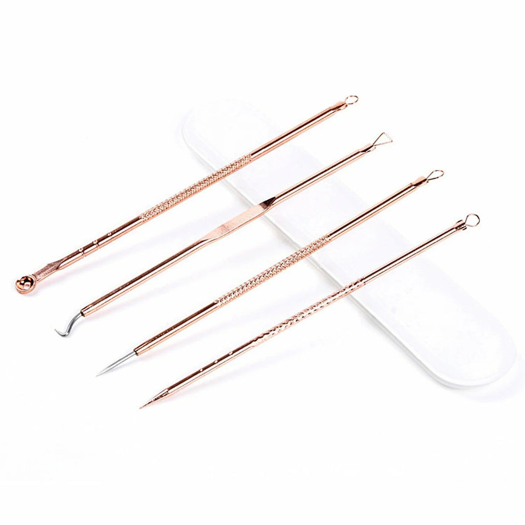 Warm Mist Facial Steamer with Acne Needle X143826