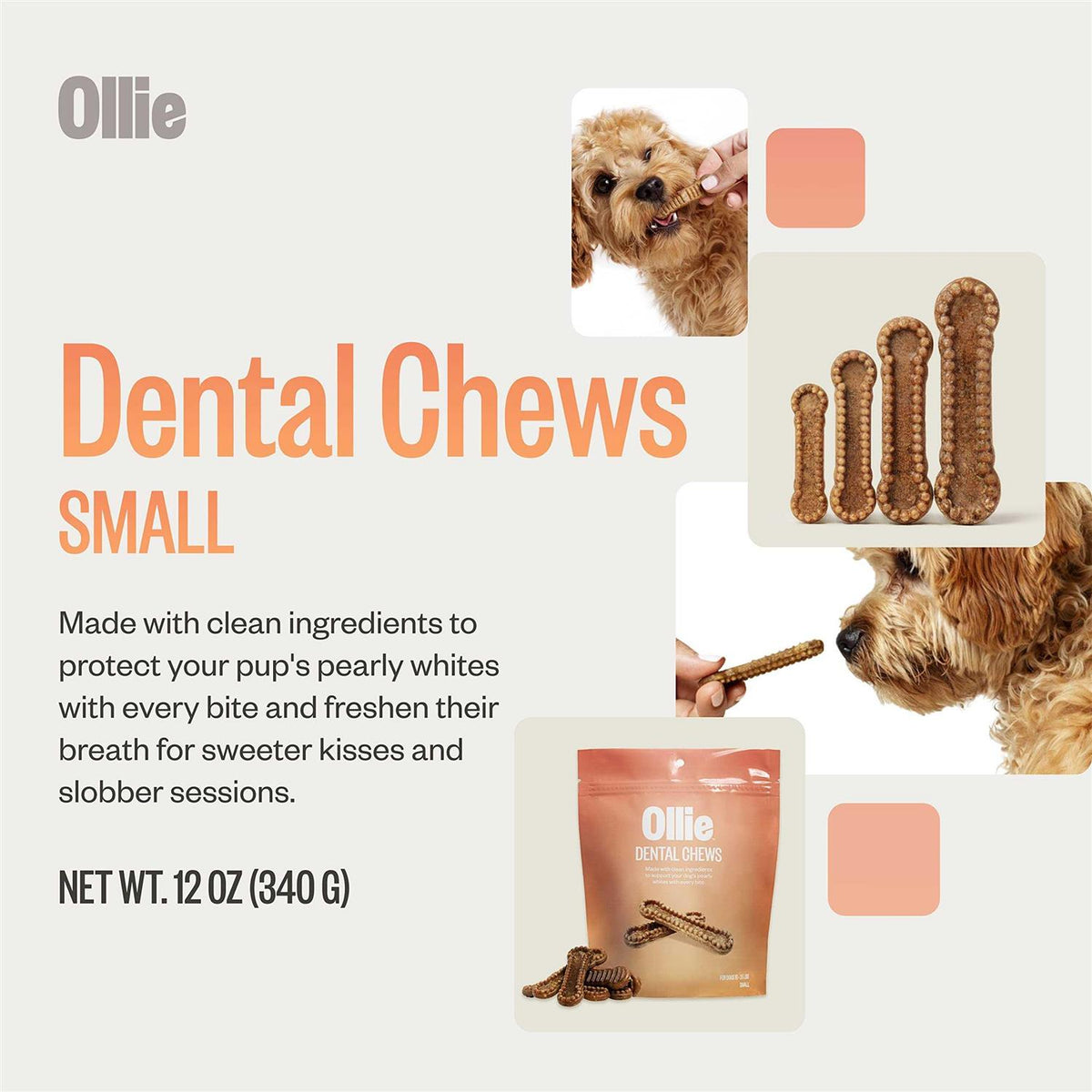 Dental Chews For Dogs V436954
