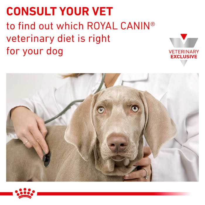 Canine Renal Support Morsels in Gravy Canned Dog Food O911