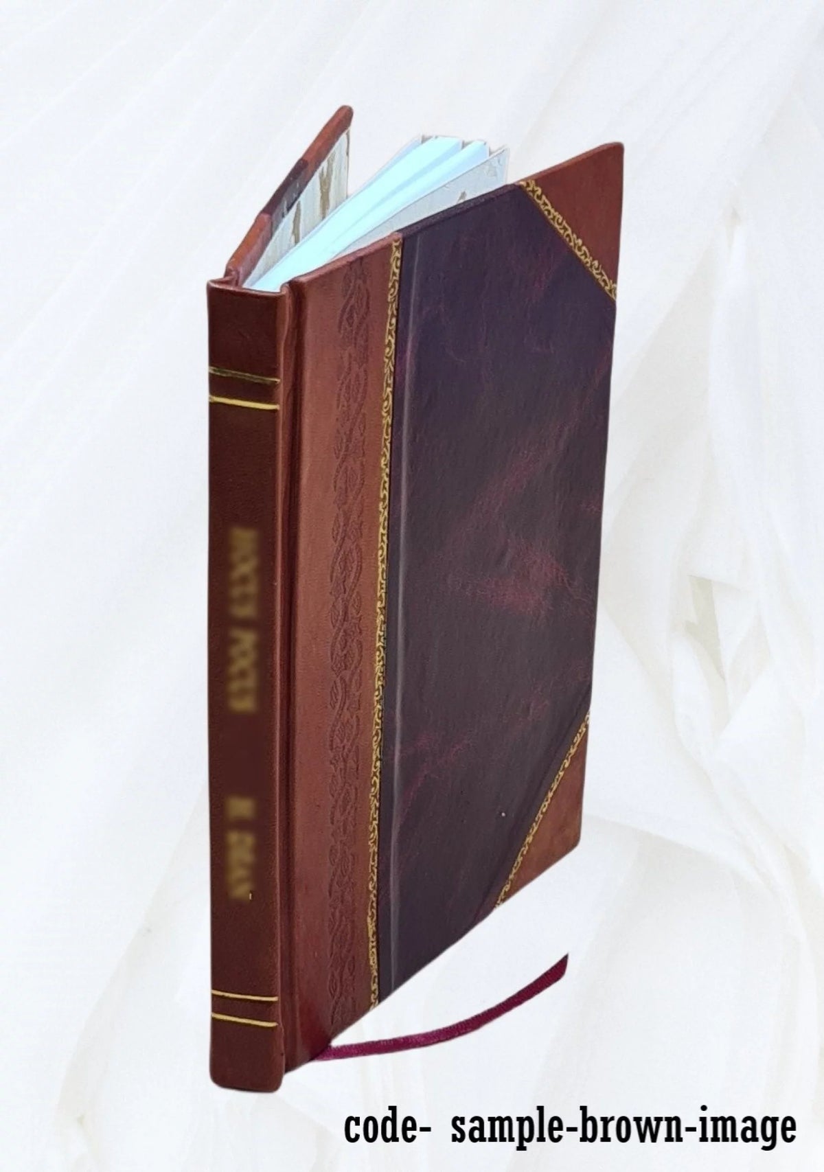 Leather Bound Book S6310