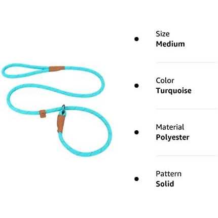 Reflective Mountain Climbing Rope Slip Lead Dog Leash D868279