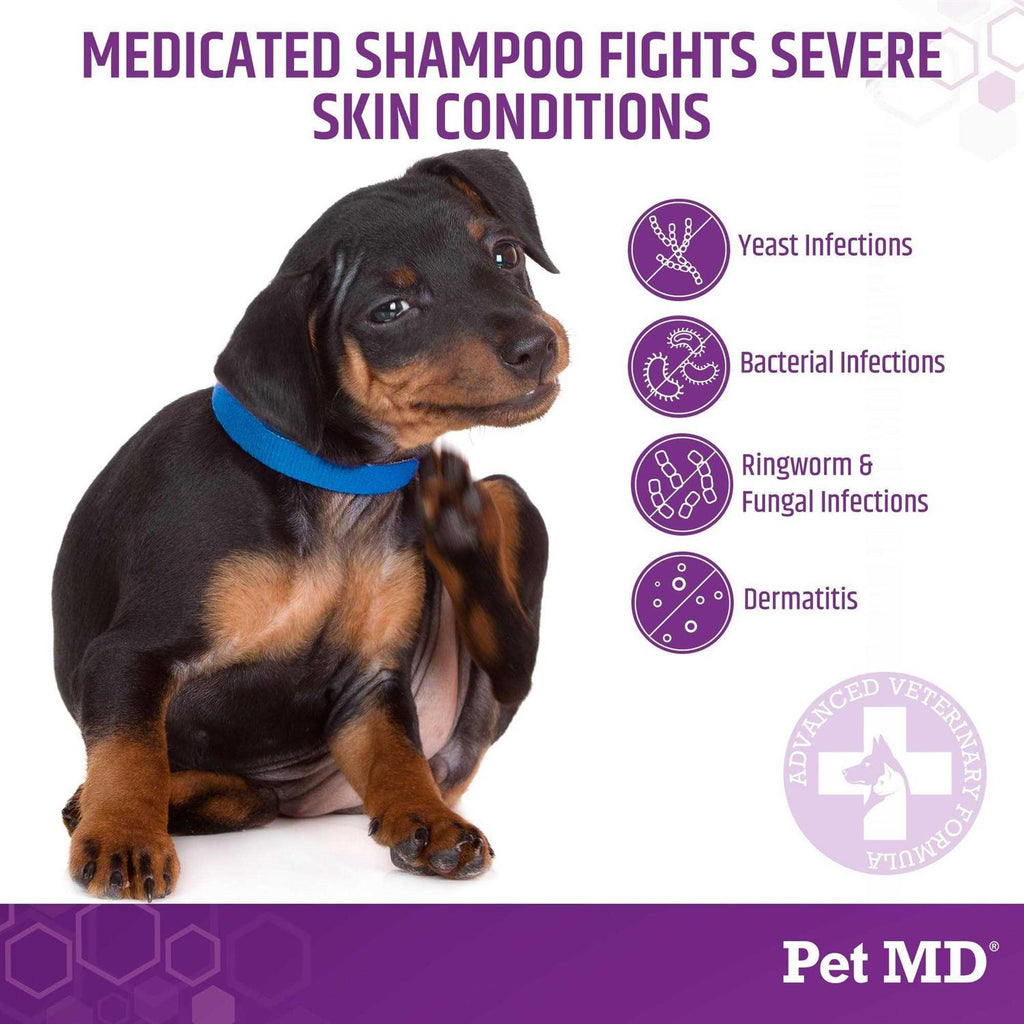 Medicated Shampoo for Dogs P984952