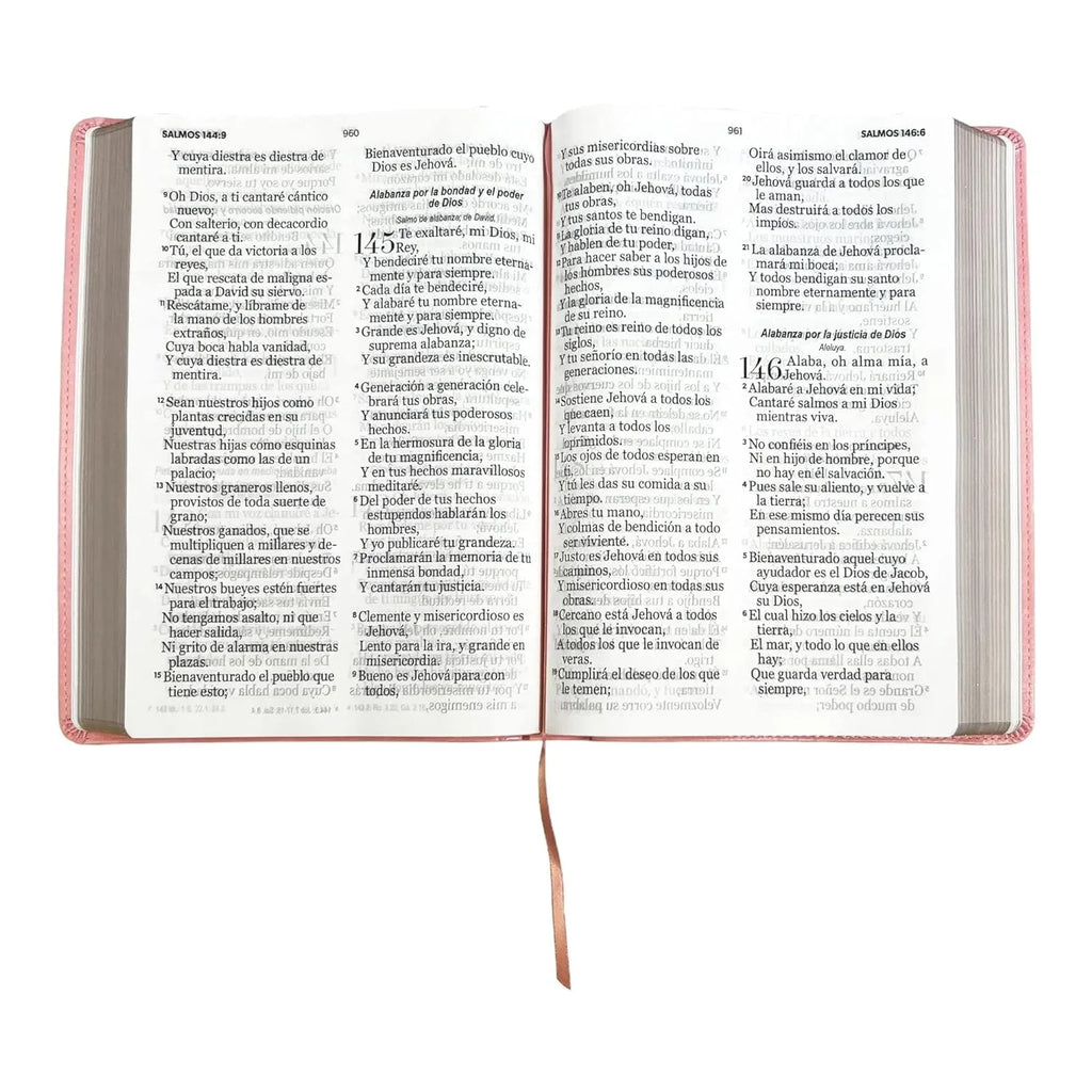 Simile Leather Imitation Leather Bible T825