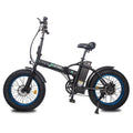 Fat Tire Folding Electric Bike R393