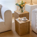 Set of 2 Natural Wood Tree Ring Pattern End Table M60591