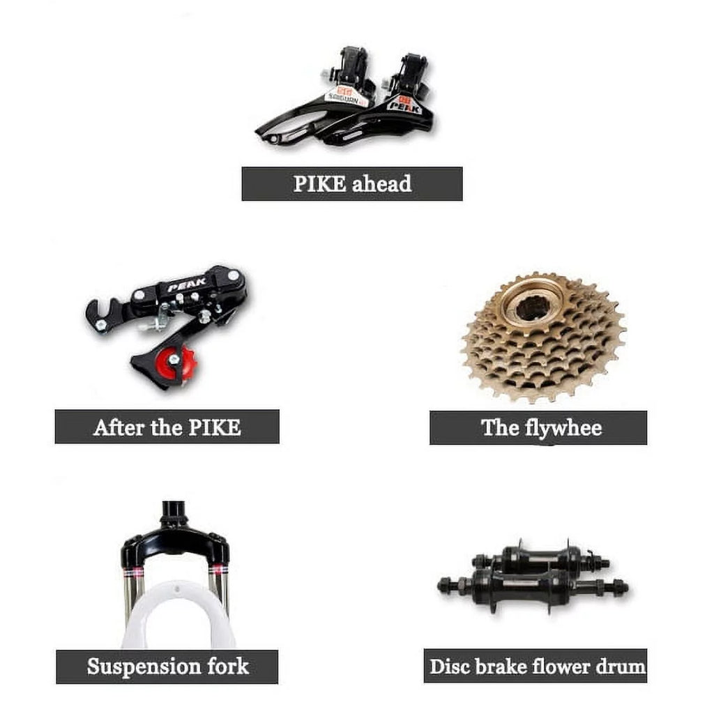 26-Inch Wheels 21 Speed Dual Disc Brake Mountain Bike Q247011