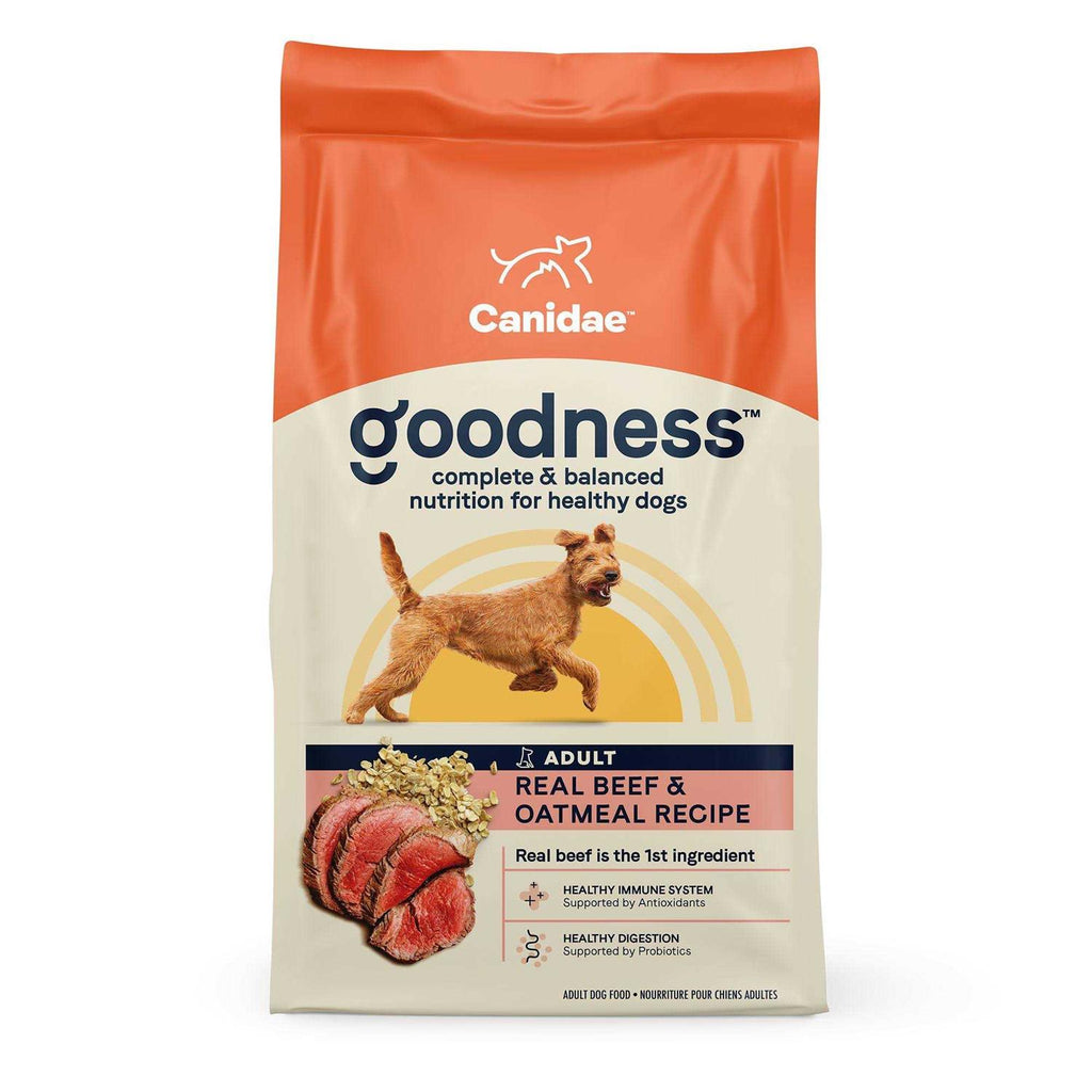 Adult Dry Dog Food Beef and Oatmeal L87758
