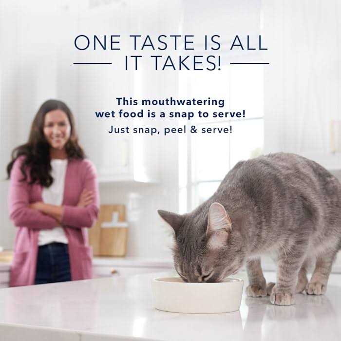 Wet Cat Food M4523