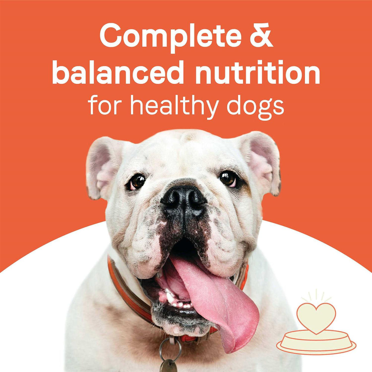 Adult Dry Dog Food Beef and Oatmeal L87758