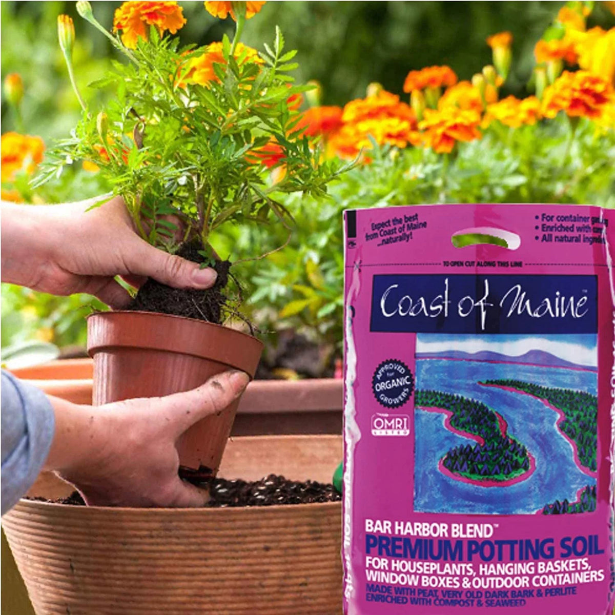 Organic Compost Potting Soil Blend, 16 Quart Bag 4 Pack D84753