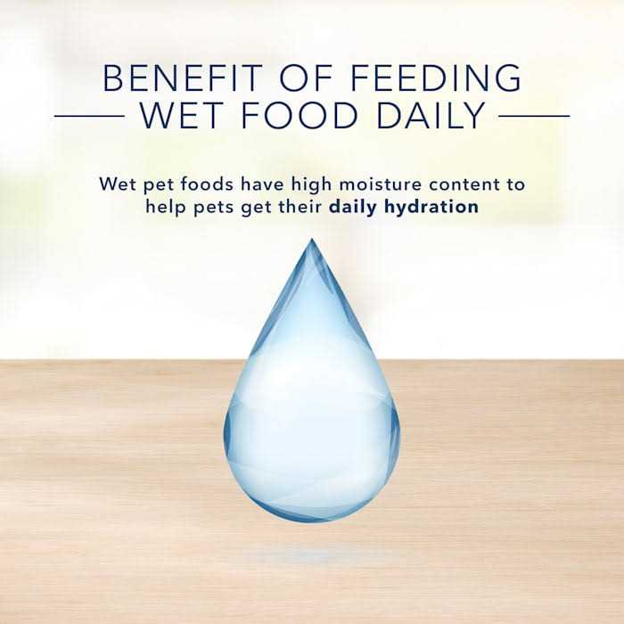 Adult Wet Cat Food O22387