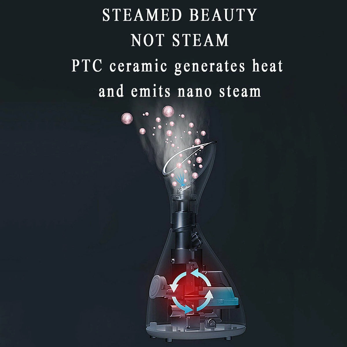 Warm Mist Facial Steamer with Acne Needle X143826
