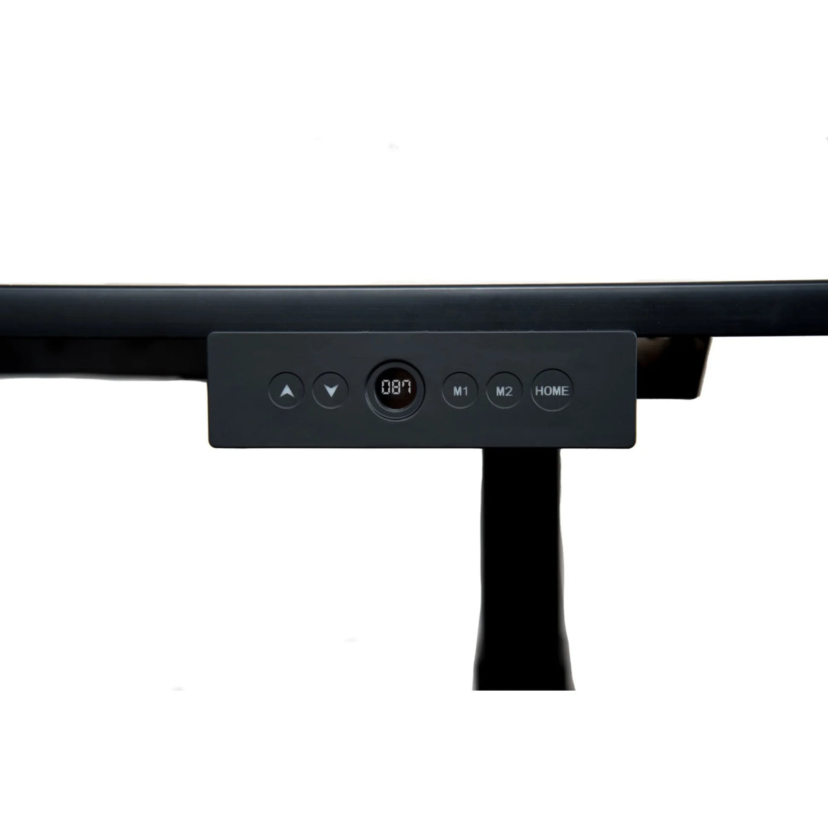 60" Dual-Motor Electric Stand Up Desk D8131